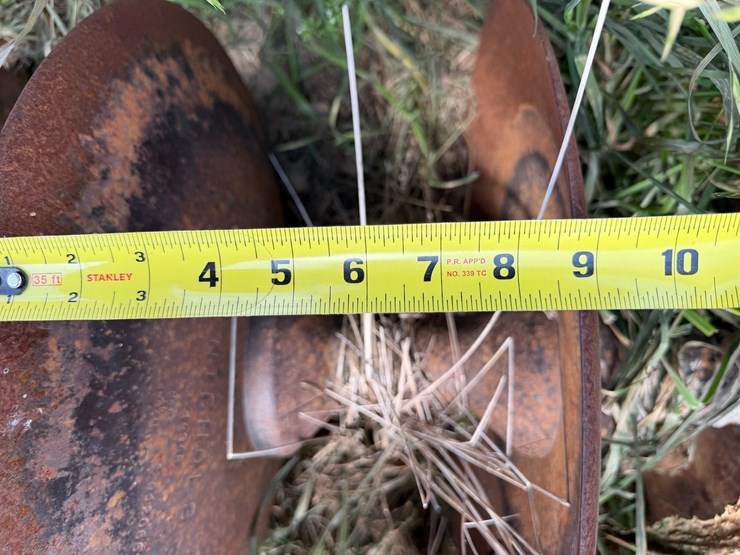 sunflower-1233-27-image-75