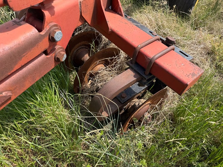 sunflower-1233-27-image-45