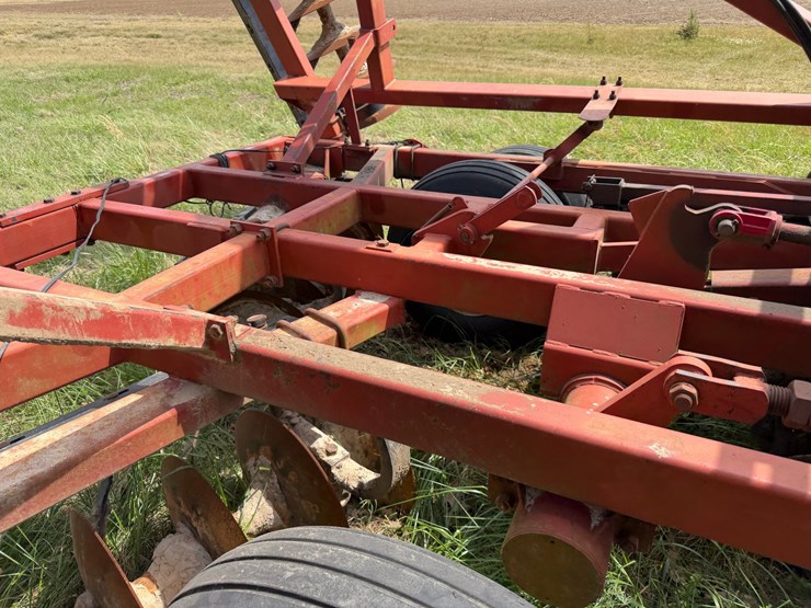 sunflower-1233-32-image-56