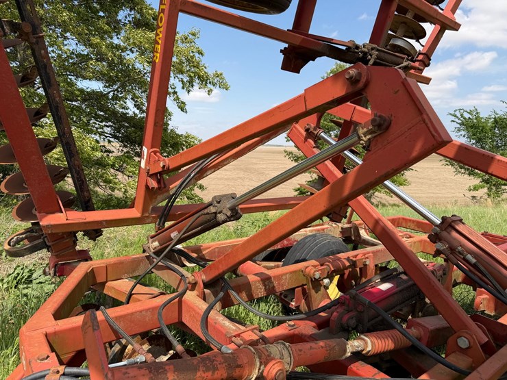 sunflower-1233-32-image-35