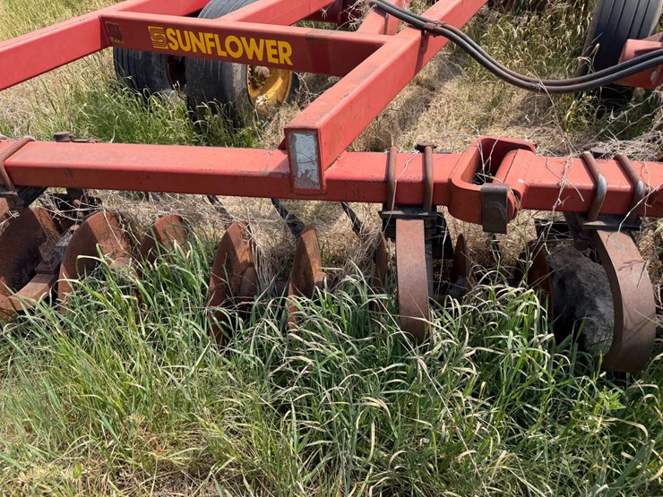 sunflower-1233-27-image-65