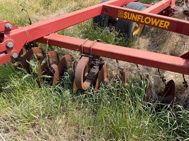 sunflower-1233-27-image-66