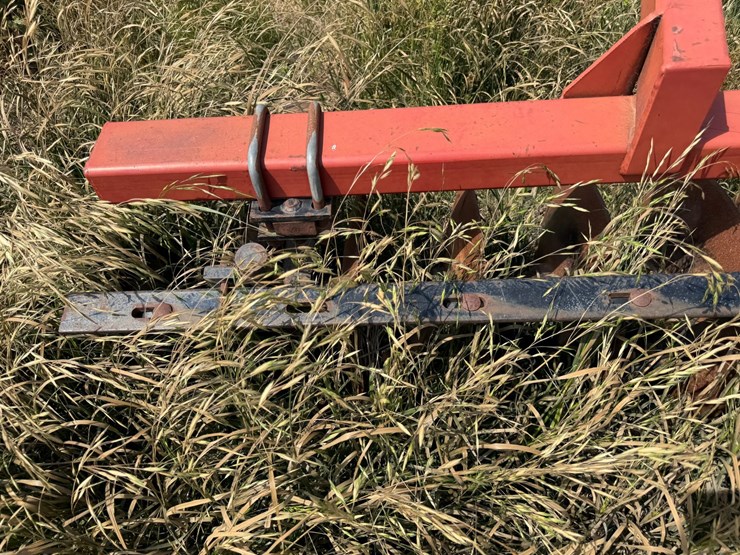 sunflower-1233-27-image-37