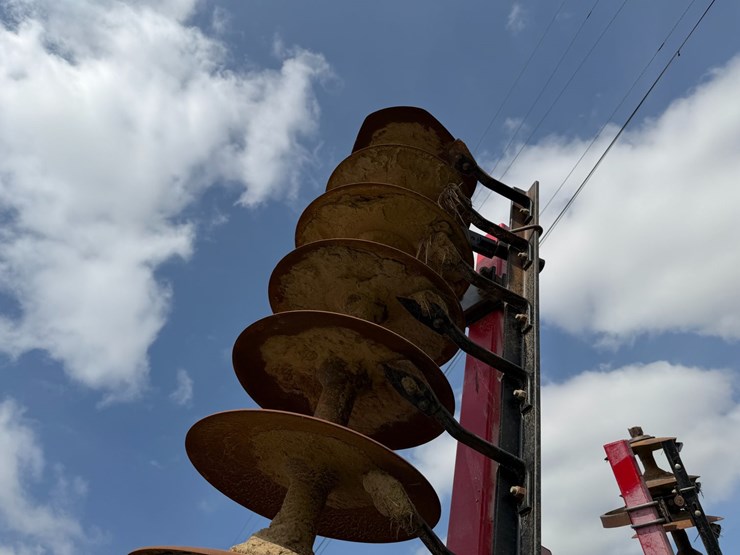 sunflower-1234-image-30