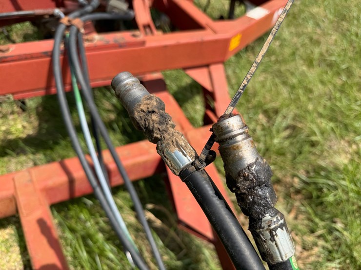 sunflower-1233-32-image-42