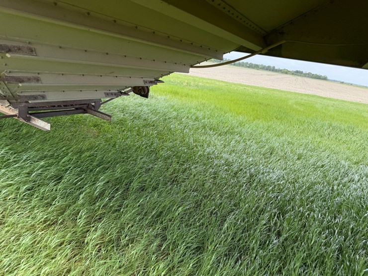 1978-wilson-40-image-37