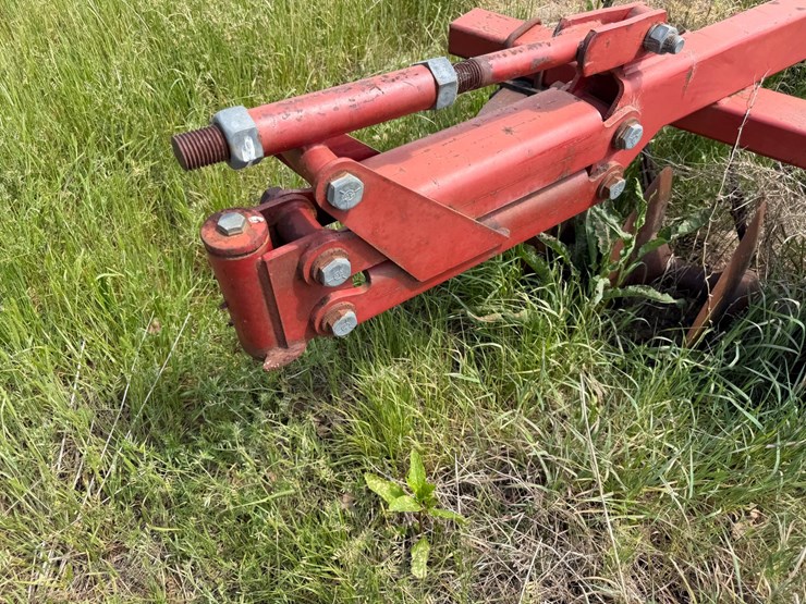 sunflower-1233-27-image-67