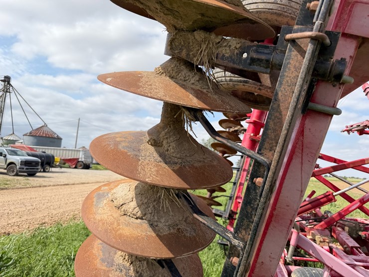 sunflower-1234-image-29