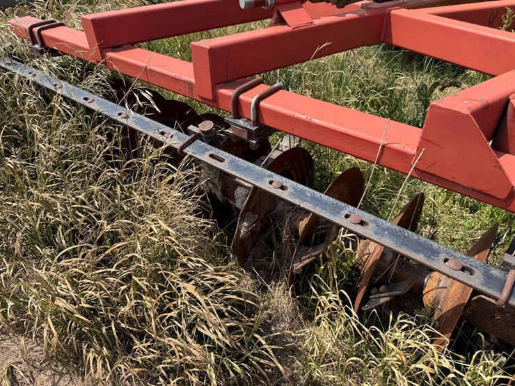 sunflower-1233-27-image-34