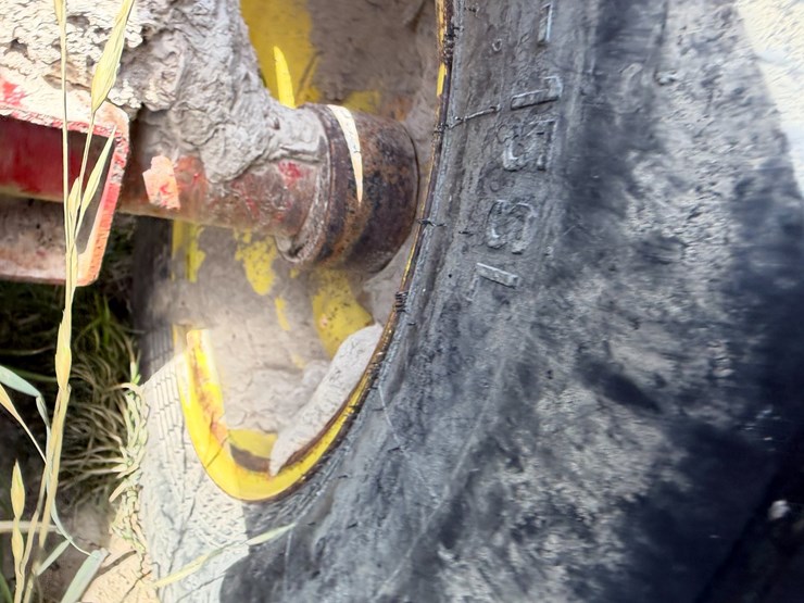 sunflower-1233-27-image-12