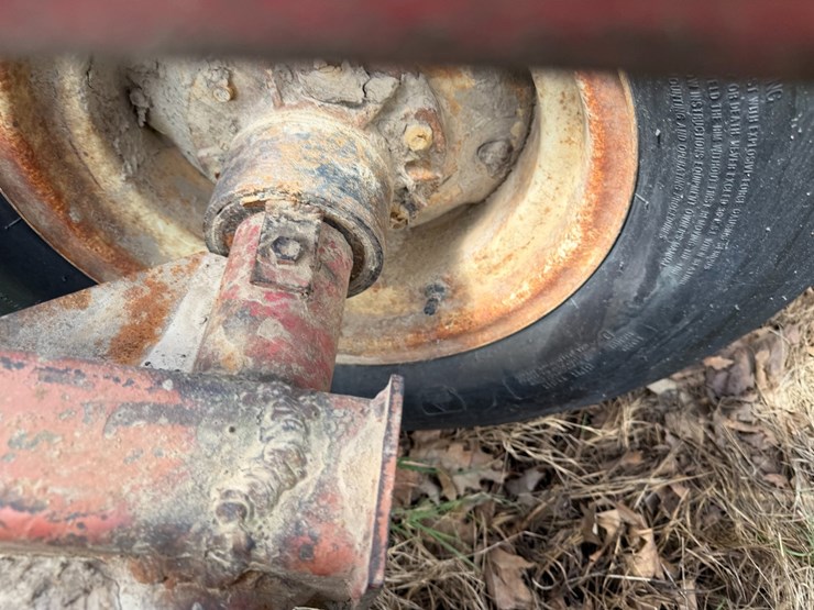 sunflower-1233-32-image-9