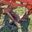 #537-•-5-bottom-plow-image-20