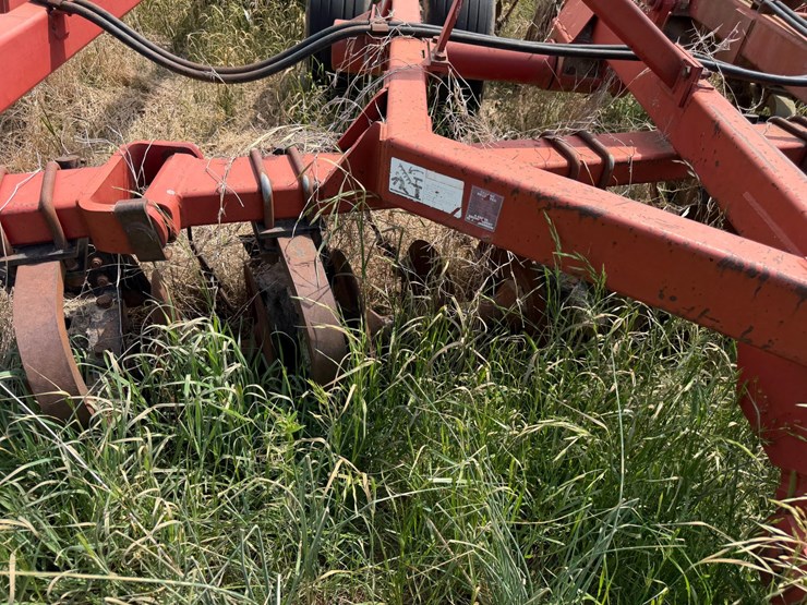 sunflower-1233-27-image-64