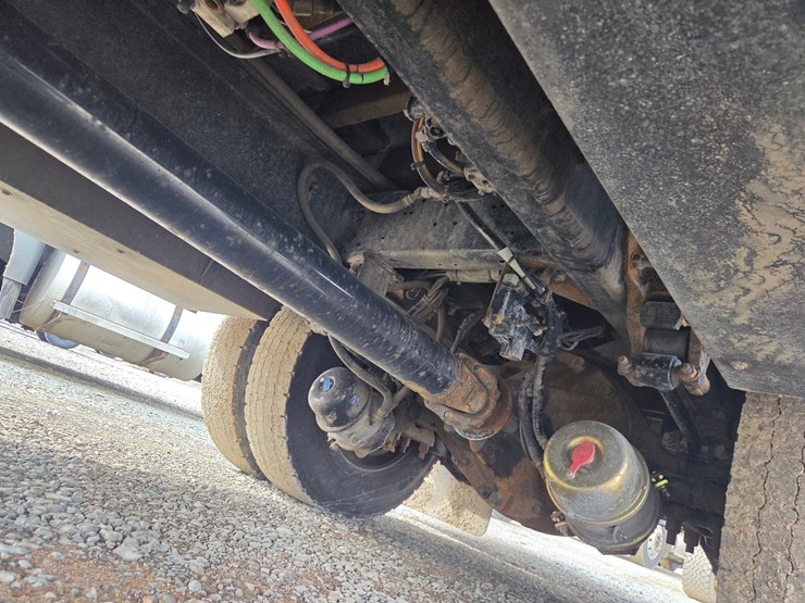 2019-tiger-8051-image-77