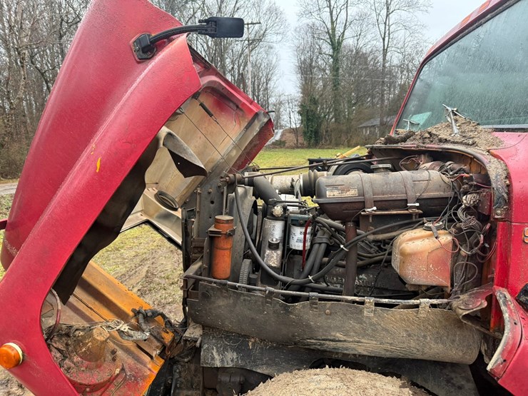 1980-international-8-image-9