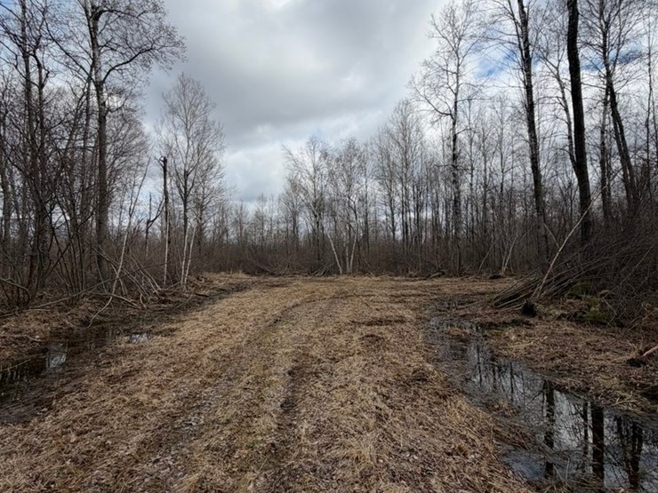 massey-ferguson-8-image-2