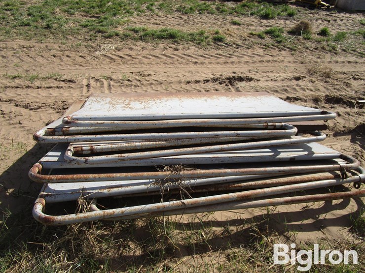 livestock-alleyway-panels-&-braces-image-6