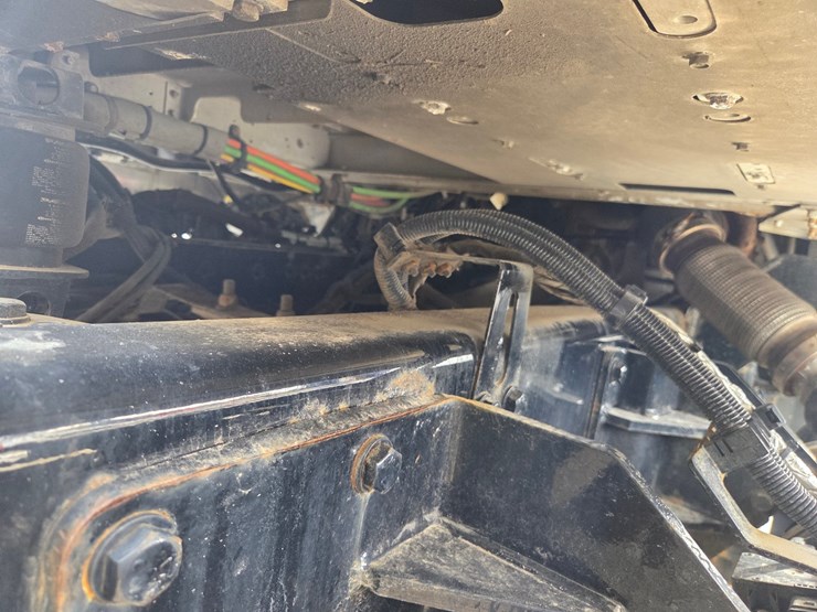 2019-tiger-8051-image-22