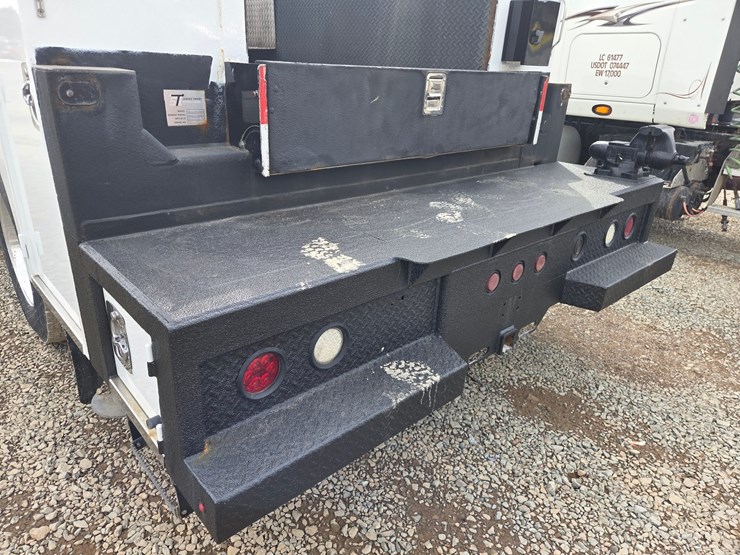 2019-tiger-8051-image-51