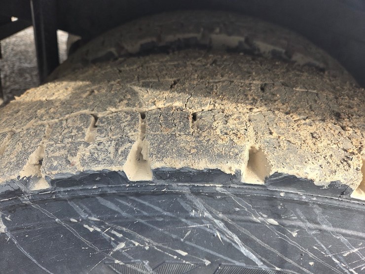 2019-tiger-8051-image-116