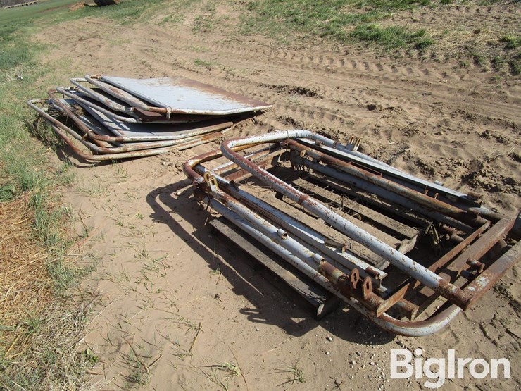 livestock-alleyway-panels-&-braces-image-8