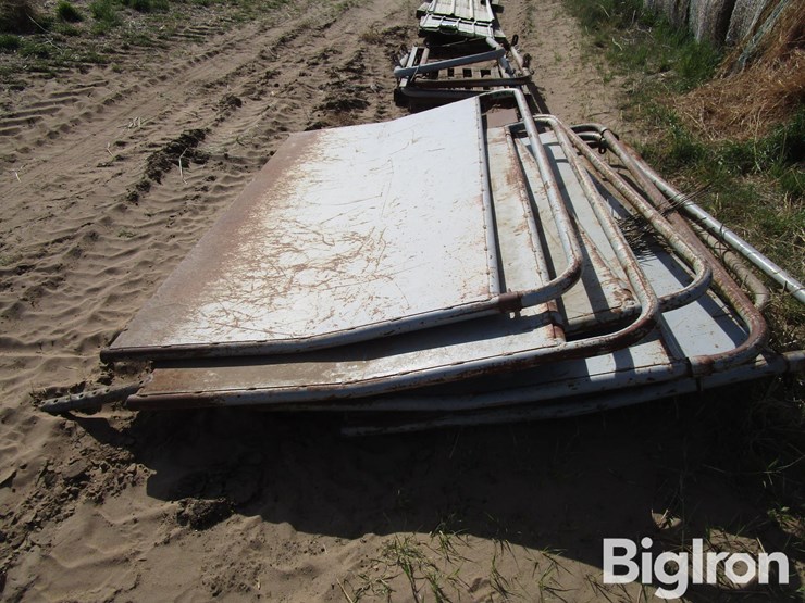 livestock-alleyway-panels-&-braces-image-19