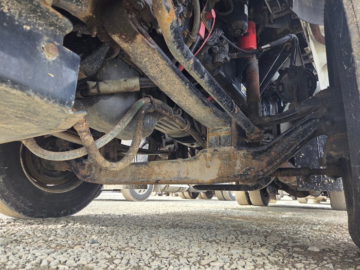 2019-tiger-8051-image-80