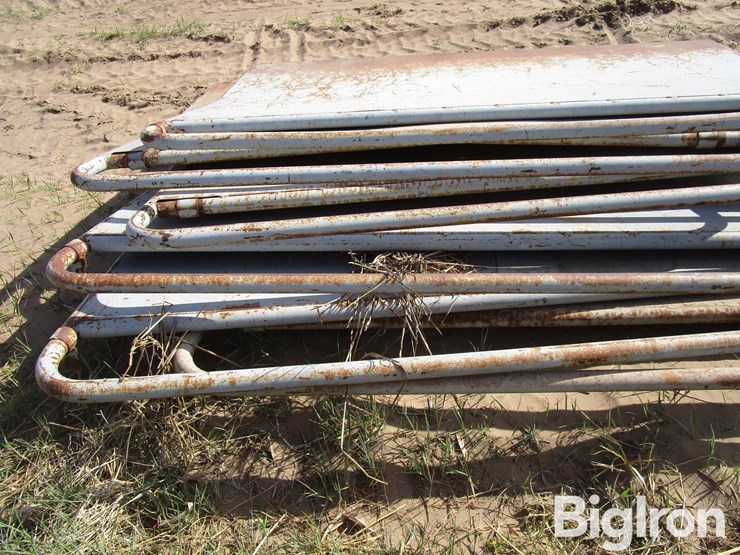 livestock-alleyway-panels-&-braces-image-17