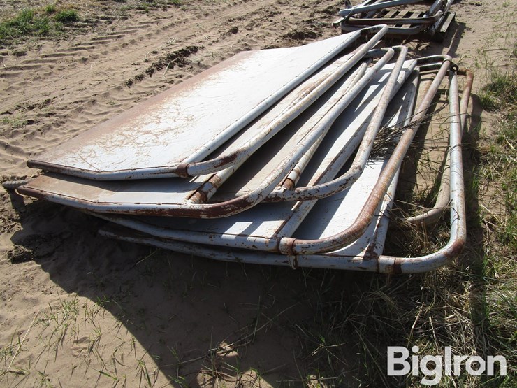 livestock-alleyway-panels-&-braces-image-18