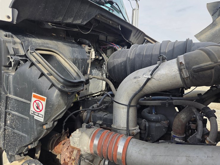 2019-tiger-8051-image-94