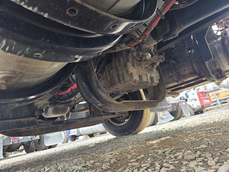 2019-tiger-8051-image-79