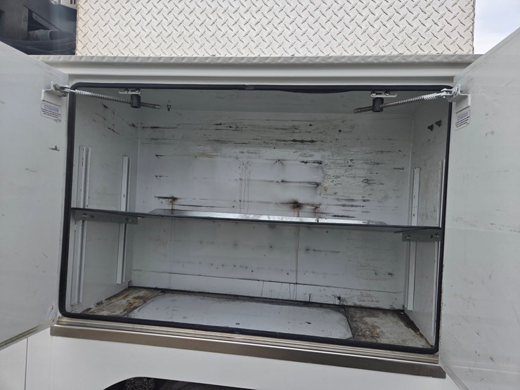 2019-tiger-8051-image-44