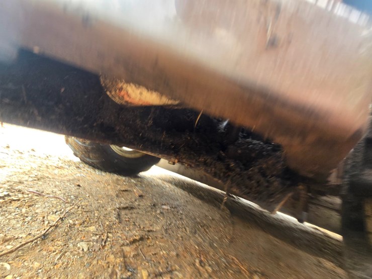 grasshopper-225-image-45