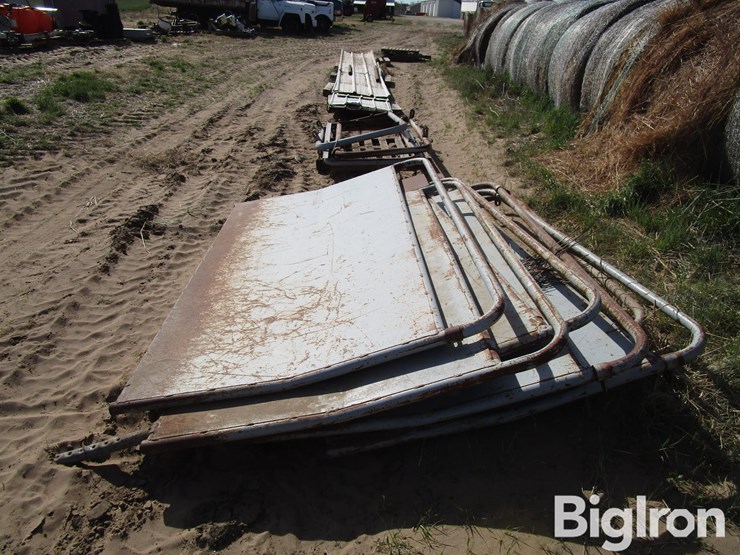 livestock-alleyway-panels-&-braces-image-4