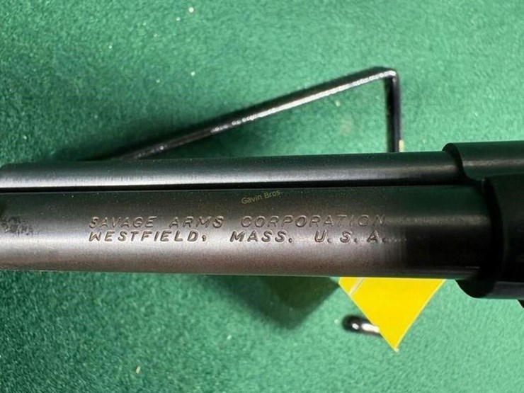 savage-mdl-101-22-lr-pistol-image-8