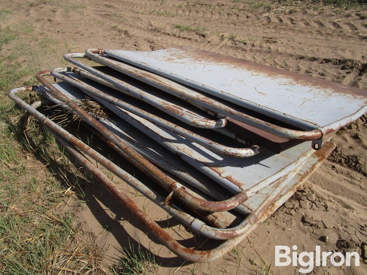 livestock-alleyway-panels-&-braces-image-16