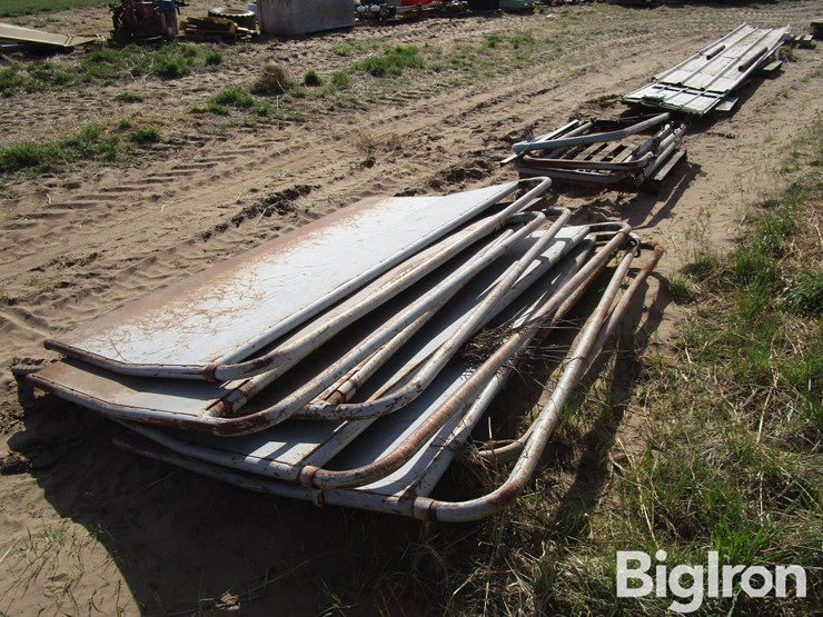 livestock-alleyway-panels-&-braces-image-5