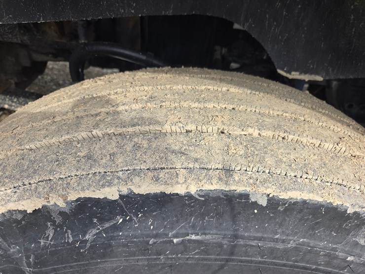 2019-tiger-8051-image-114