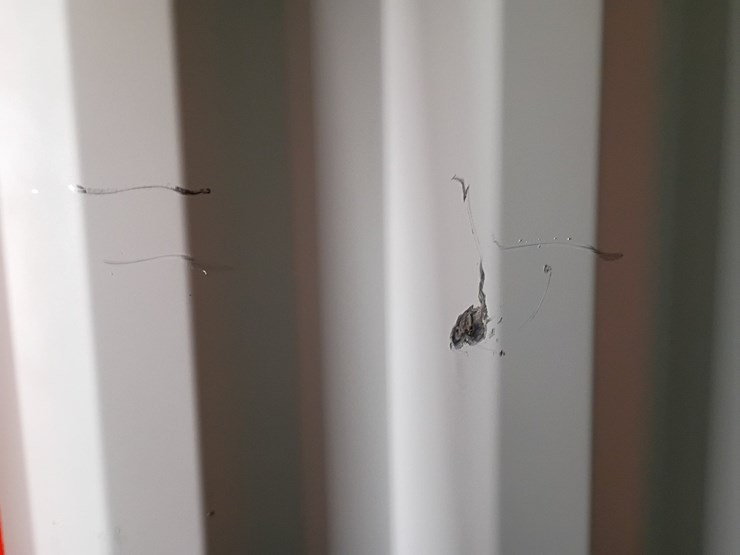 #l19-000-•-40ft-container-image-24