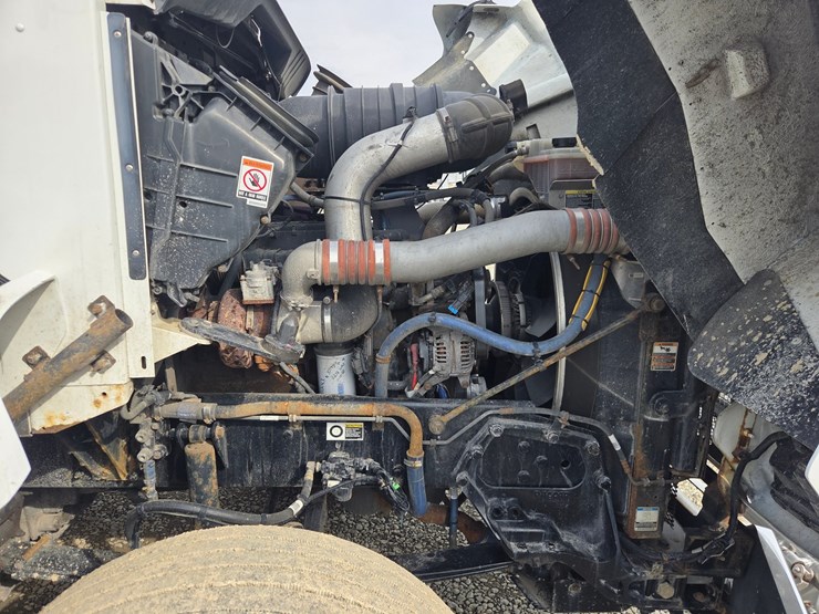 2019-tiger-8051-image-89