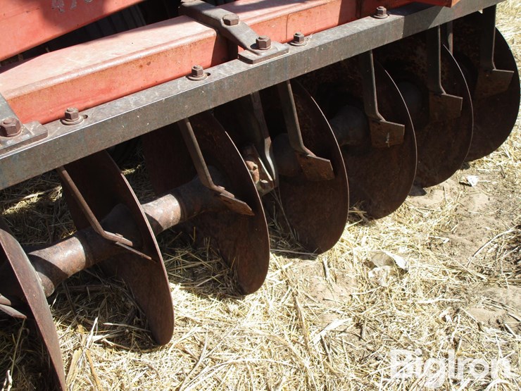 international-490-image-20