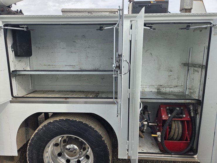 2019-tiger-8051-image-28