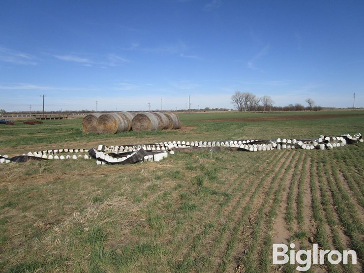elevator-leg-belt-&-poly-buckets-image-2