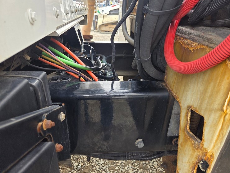 2019-tiger-8051-image-20