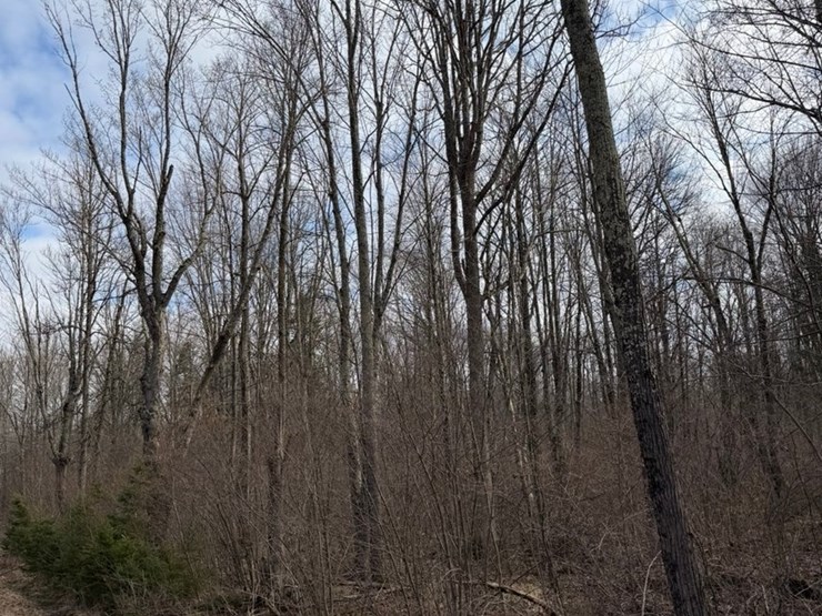 massey-ferguson-8-image-7