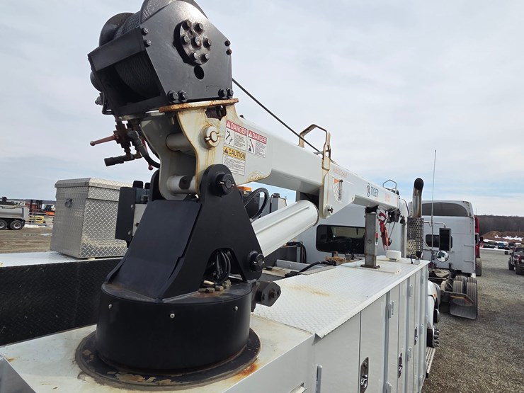 2019-tiger-8051-image-73