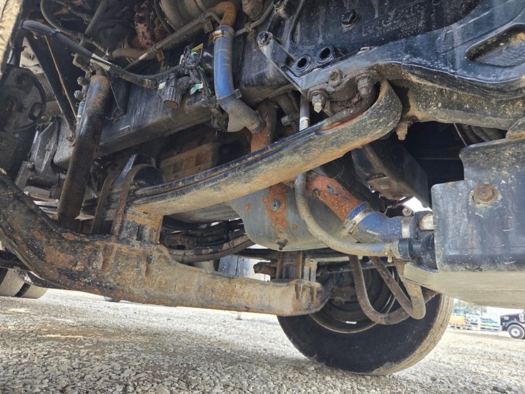 2019-tiger-8051-image-81