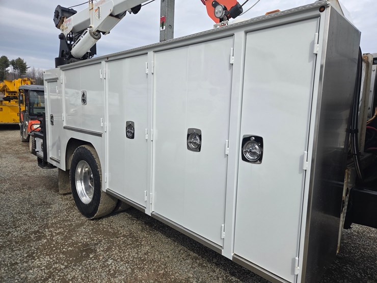 2019-tiger-8051-image-23