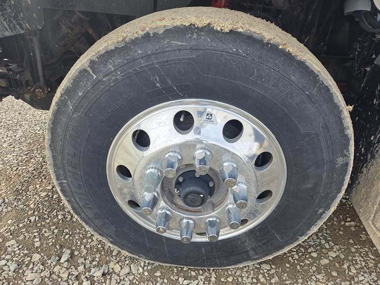 2019-tiger-8051-image-111