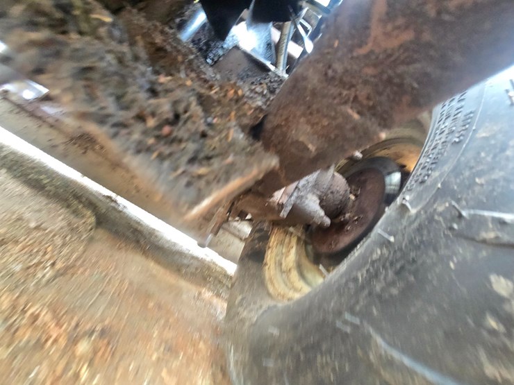 grasshopper-225-image-44